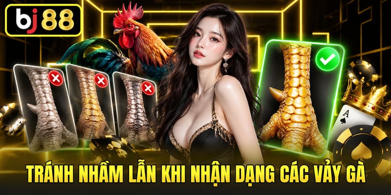 Vảy Đại Giáp BJ88 Là Gì? Cách Nhận Biết Và Phân Biệt Chính Xác 4 Tránh nhầm lẫn khi nhận dạng các vảy gà